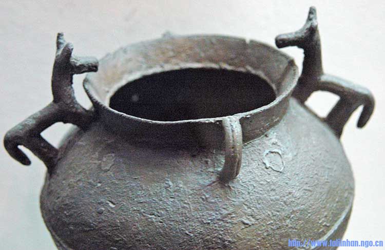 shm06244.jpg