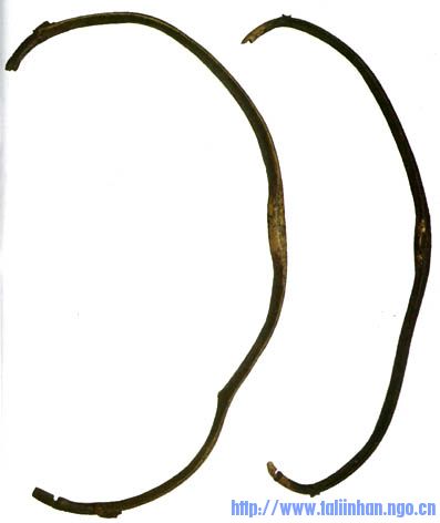 43.jpg