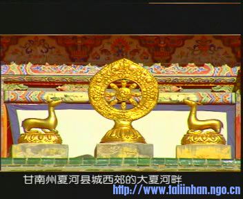 xin_031203072003125046932.jpg