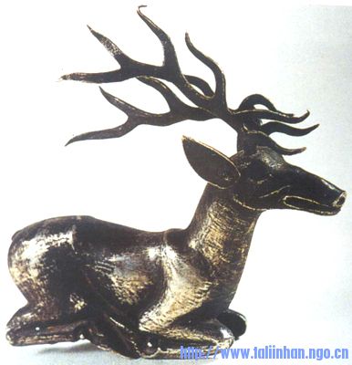 200204100063_1989.jpg